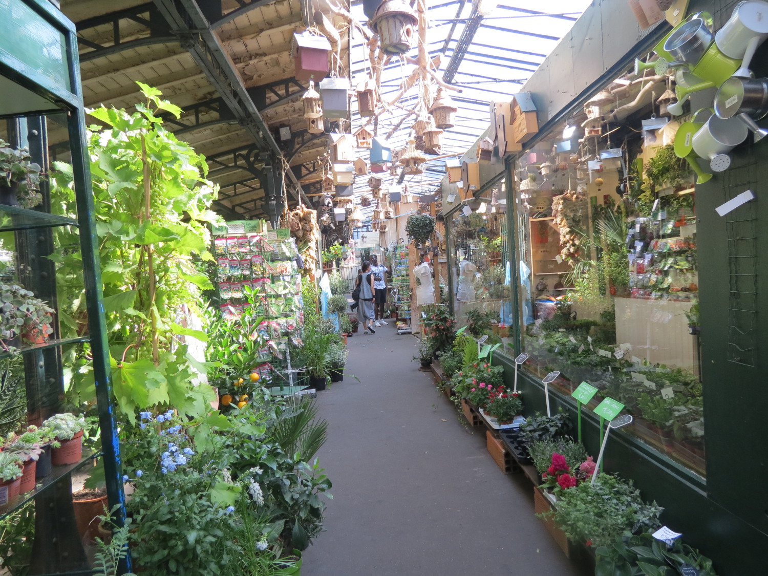 mercato dei fiori parigi